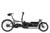 Riese & Muller Load5 75 vario in Coal grey