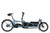 Riese & Muller Load5 75 rohloff in Arctic