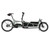 Riese & Muller Load5 75 rohloff in Tundra grey