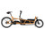 Riese & Muller Load5 75 rohloff in Peanut