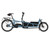 Riese & Muller Load5 75 rohloff HS in Arctic