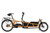 Riese & Muller Load5 75 rohloff HS in Peanut