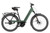 Riese & Muller Nevo5 vario HS in Moss