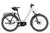 Riese & Muller Nevo5 pinion in Pure white