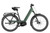 Riese & Muller Nevo5 pinion in Moss