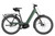 Riese & Muller Nevo5 pinion HS in Moss