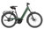 Riese & Muller Nevo5 rohloff in Moss