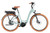 Riese & Muller Swing5 vario in Salvia