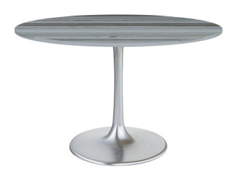 Star City Dining Table in Gray, Silver (339|109446)