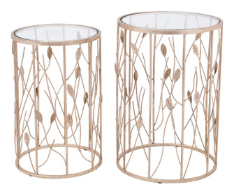 Sage Set of 2 Side Tables in Gold, Clear (339|101474)