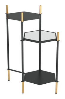 William Side Table in Black, Gold (339|101467)
