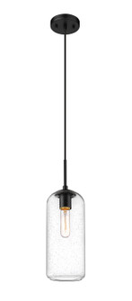 Monty One Light Pendant in Matte Black (224|738P17-MB)