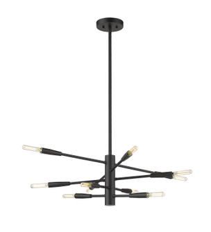 Ascension Ten Light Chandelier in Matte Black (224|737-10MB)