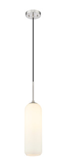 Monty One Light Pendant in Brushed Nickel (224|732P22-BN)