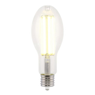 Light Bulb in Clear (88|5242100)