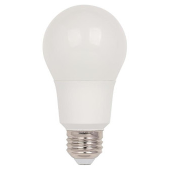 Light Bulb in Soft White (88|5132100)