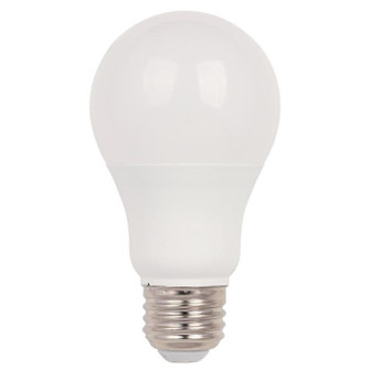 Light Bulb in Soft White (88|5081100)