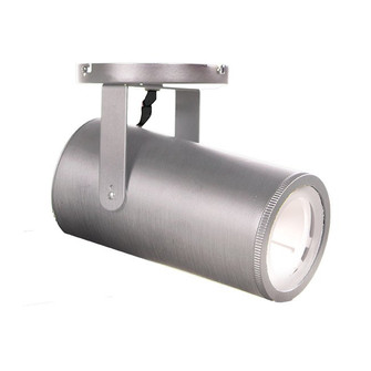 Silo LED Spot Light in Brushed Nickel (34|MO-2042-940-BN)