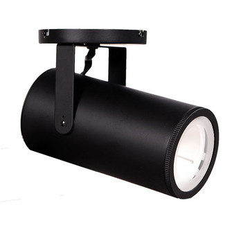 Silo LED Spot Light in Black (34|MO-2042-940-BK)
