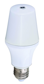 LED Bulb LED Sensor Bulb in White (63|Y0002)
