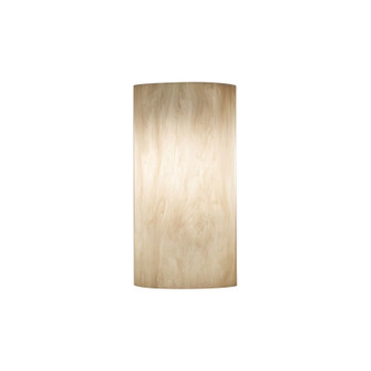 Basics LED Outdoor Wall Sconce (410|9271-WS-02)