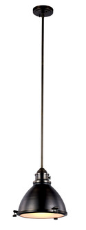 Performance One Light Pendant in Weathered Bronze (110|PND-1005 WB)