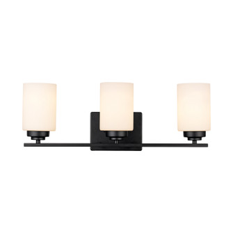 Bathroom Fixtures - Three Lights (110|70523 BK)