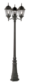 Villa Nueva Three Light Pole Light in Black (110|4719 BK)