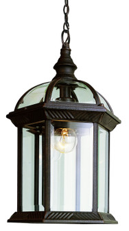 Wentworth One Light Hanging Lantern in Rust (110|4183 RT)