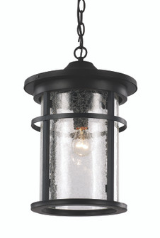Avalon One Light Hanging Lantern in Black (110|40385 BK)
