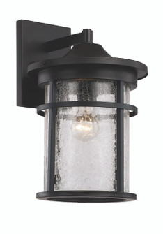 Avalon One Light Wall Lantern in Black (110|40382 BK)