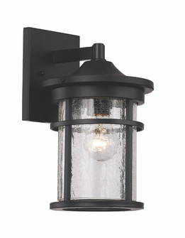 Avalon One Light Wall Lantern in Black (110|40380 BK)