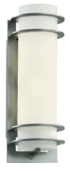 Zephyr One Light Wall Lantern in Silver (110|40205 SL)
