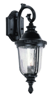 Chessie One Light Wall Lantern in Black (110|4020 BK)