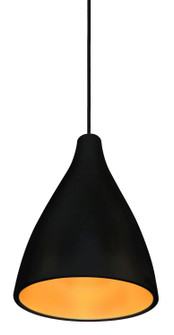 One Light Pendant in Aluminia Black (408|PD249BLGORT6BM)