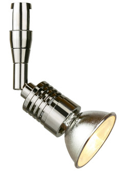 Action Swivel Head in Polished Nickel (408|DA200PNM5J)