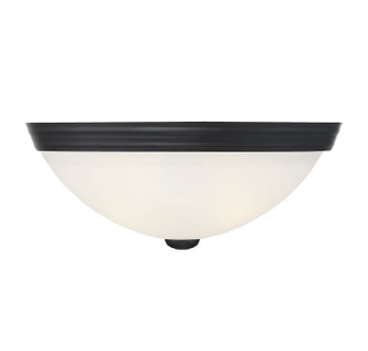 Flush Mount Two Light Flush Mount in Matte Black (51|6-780-13-BK)