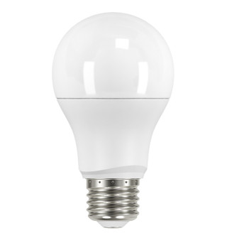 Light Bulb in Frost (230|S9594)