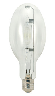 Light Bulb in Clear (230|S5839)
