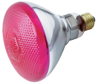 Light Bulb in Pink (230|S5007)