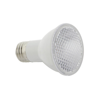 Light Bulb in Clear (230|S39188)
