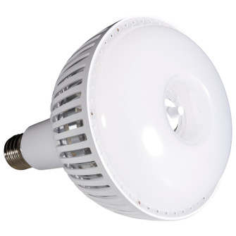 Light Bulb in Translucent White (230|S23112)