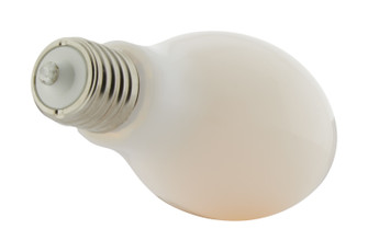 Light Bulb in White (230|S13136)