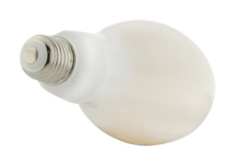 Light Bulb in White (230|S13131)