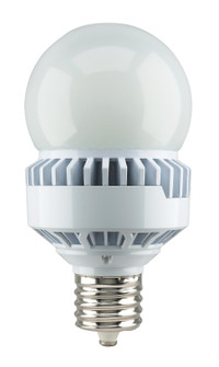 Light Bulb in Frost (230|S13109)