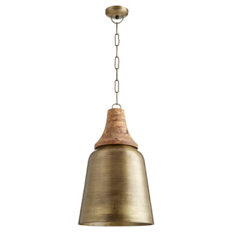 Artisan Pendants One Light Pendant in Artisan Brass (19|83-75)