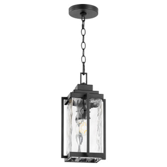 Domus One Light Pendant in Textured Black (19|7022-69)