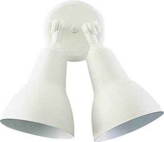 Floodlights Two Light Ceiling Mount in White (19|690-2-6)