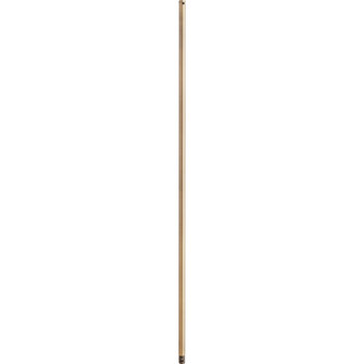 48 in. Downrods Downrod in Antique Brass (19|6-484)