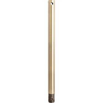 12 in. Downrods Downrod in Antique Brass (19|6-124)